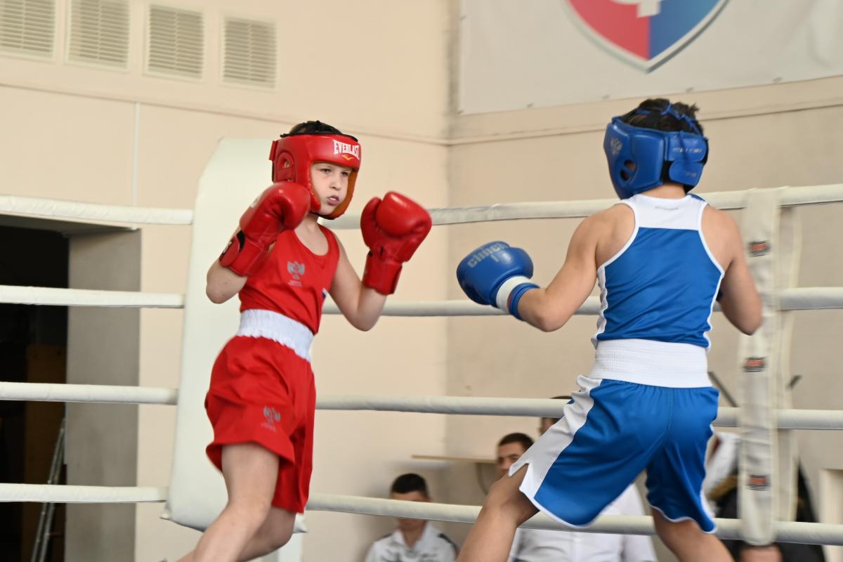 В Выборге прошел турнир по боксу в память о земляке Иване Иванине