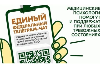 Психологическая поддержка семей воинов Отечества через мессенджеры
